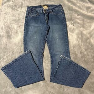 Blue Casual Women's Jeans